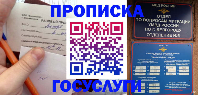 прописка паспорт в Балашихе